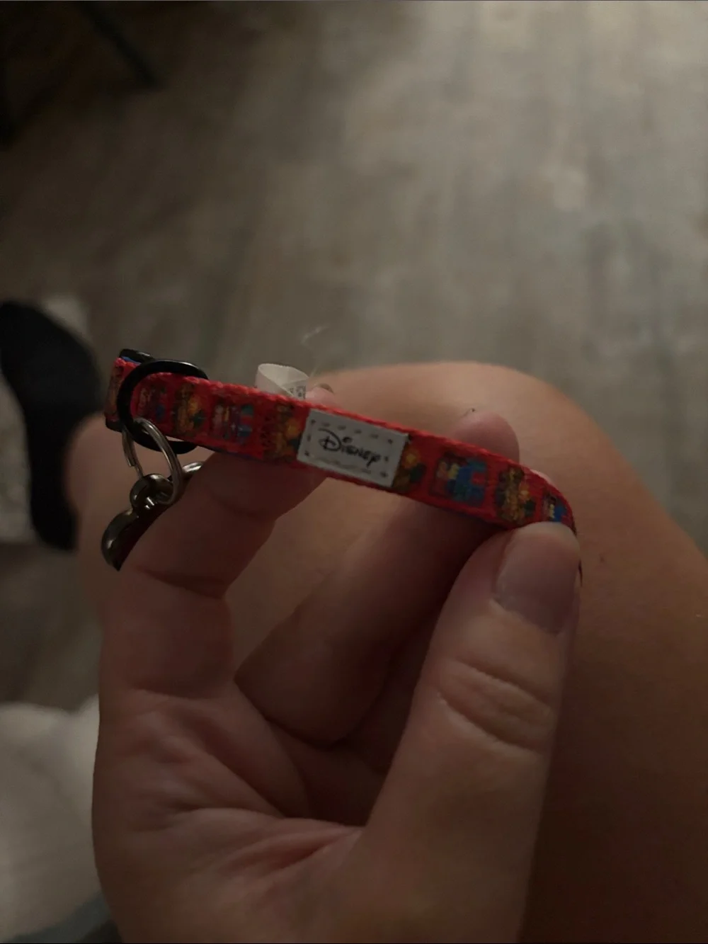 Adjustable Blue and Red Pet Collar